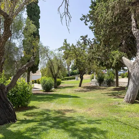 New! Pedras D'el Rei 352