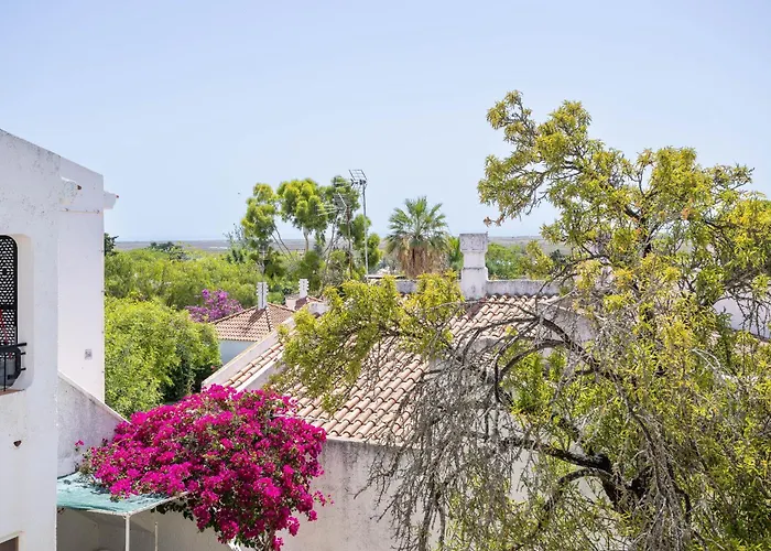 New! Pedras D'el Rei 352 *